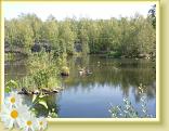 Rieulay_01.09.2011 (9)